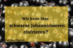 wie kann man Schwarze Johannisbeeren einfrieren