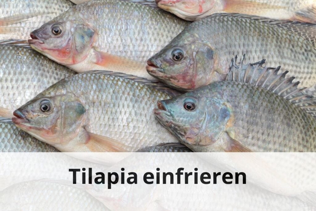 wie lange Kann man Tilapia einfrieren