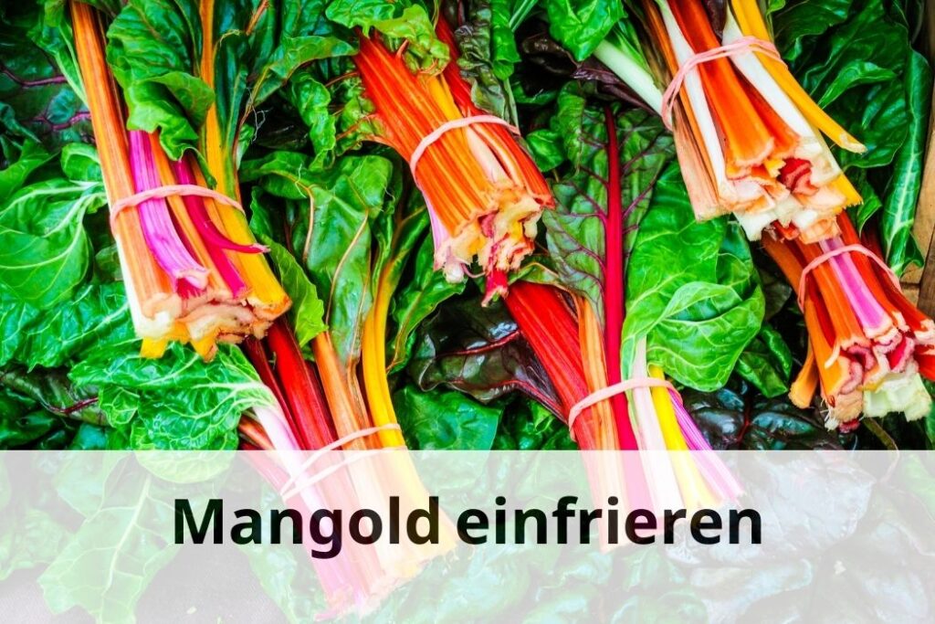 wie lange kann man Mangold einfrieren