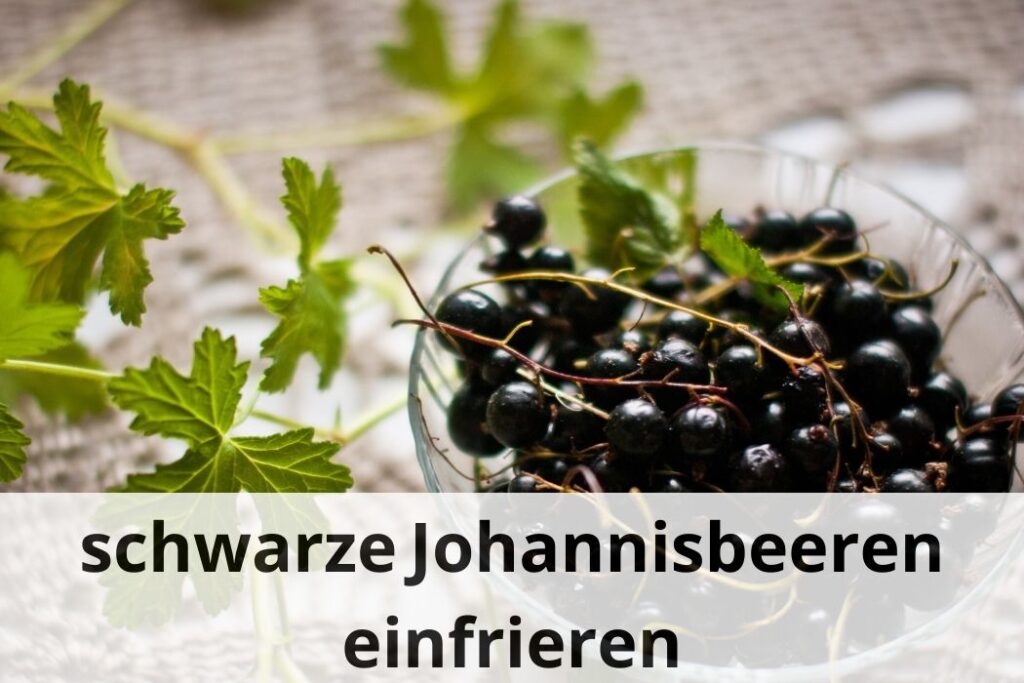 wie lange kann man Schwarze Johannisbeeren einfrieren