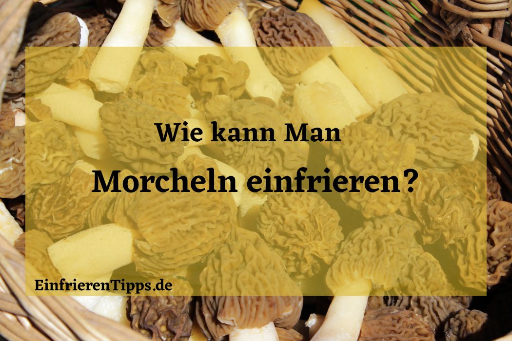 Kann man Morcheln einfrieren