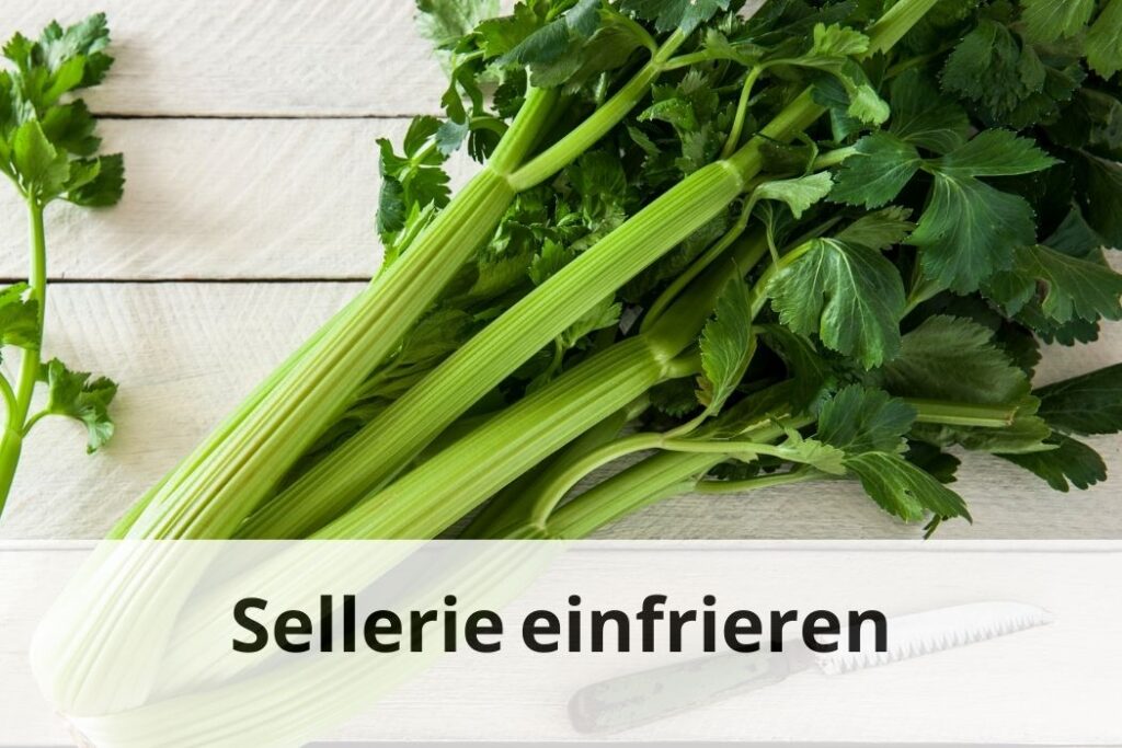 Wie lange Kann man Sellerie einfrieren