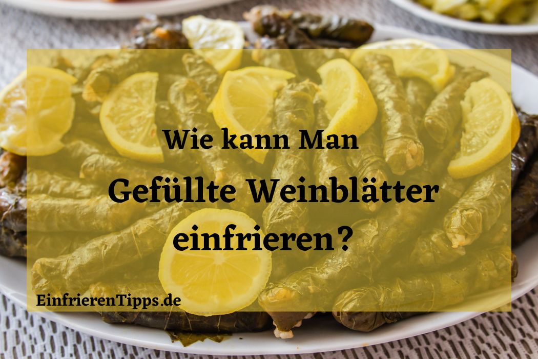 wie kann man Gefüllte Weinblätter einfrieren