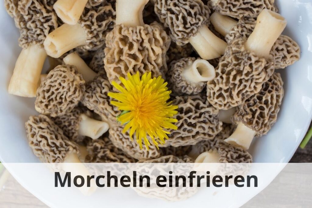 wie lange Kann man Morcheln einfrieren