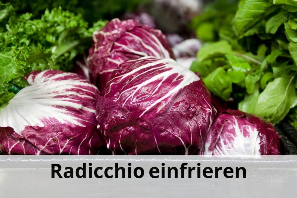 wie lange Kann man Radicchio einfrieren