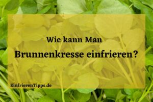 Kann man Brunnenkresse einfrieren