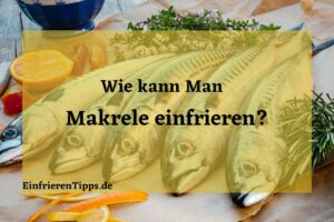 Kann man Makrele einfrieren