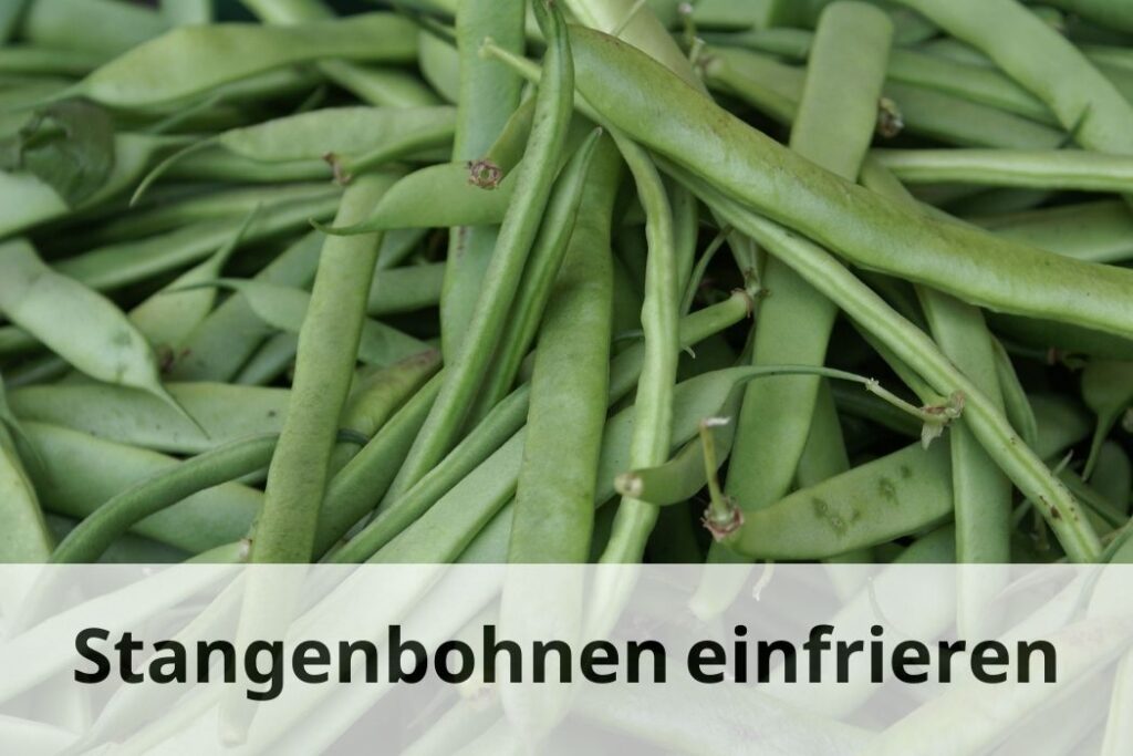 Wie lange kann man Stangenbohnen einfrieren