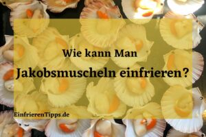 kann man Jakobsmuscheln einfrieren