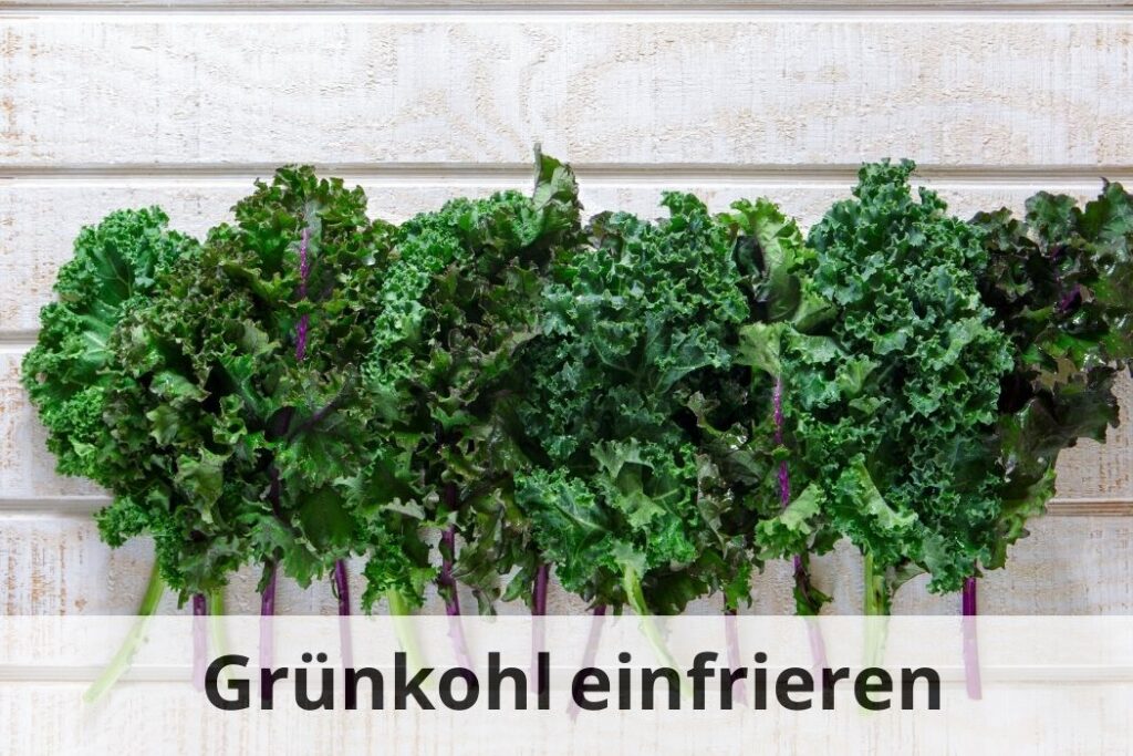 wie lange Kann man Grünkohl einfrieren