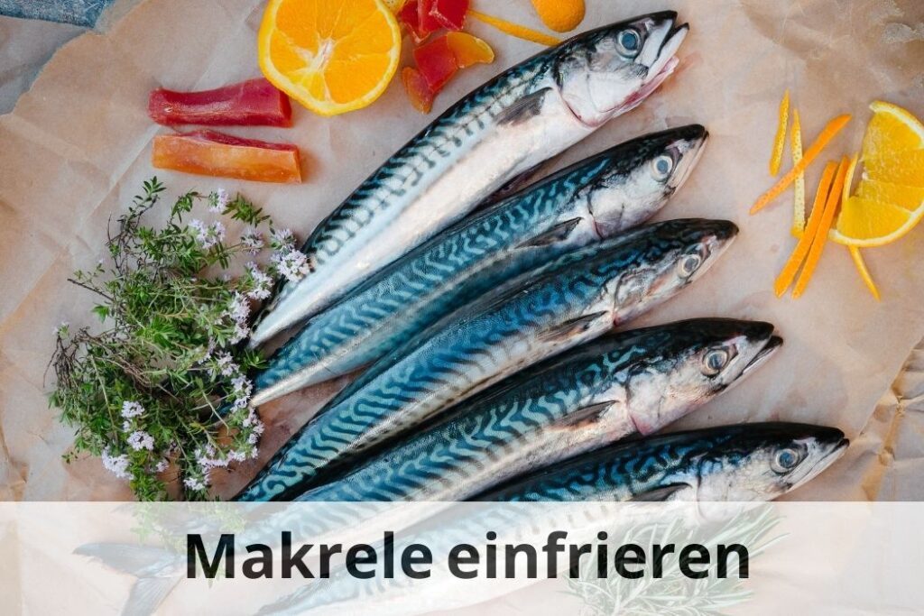 wie lange Kann man Makrele einfrieren