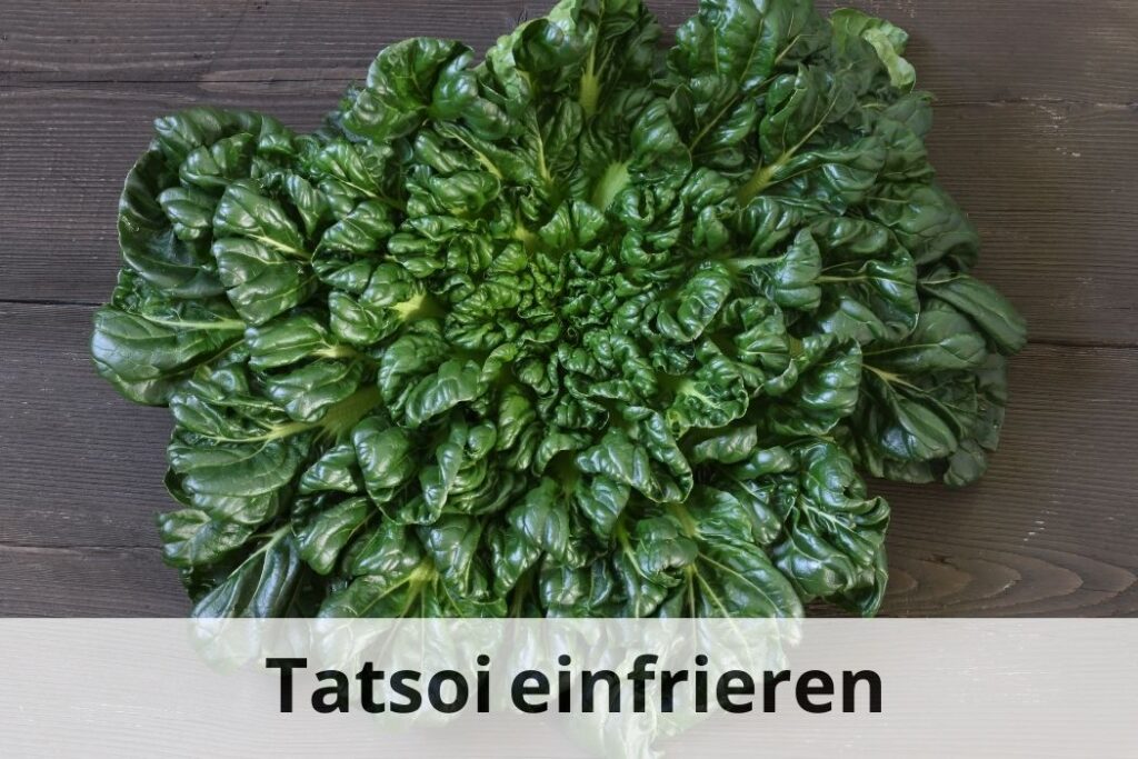 wie lange Kann man Tatsoi einfrieren