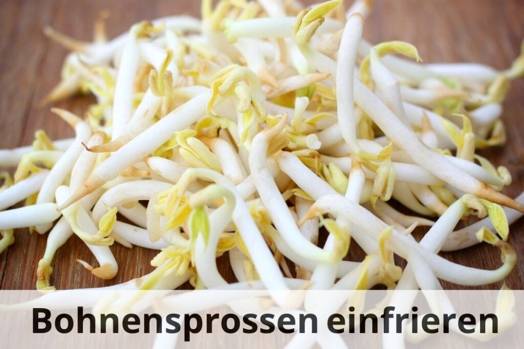 wie lange kann man Bohnensprossen einfrieren