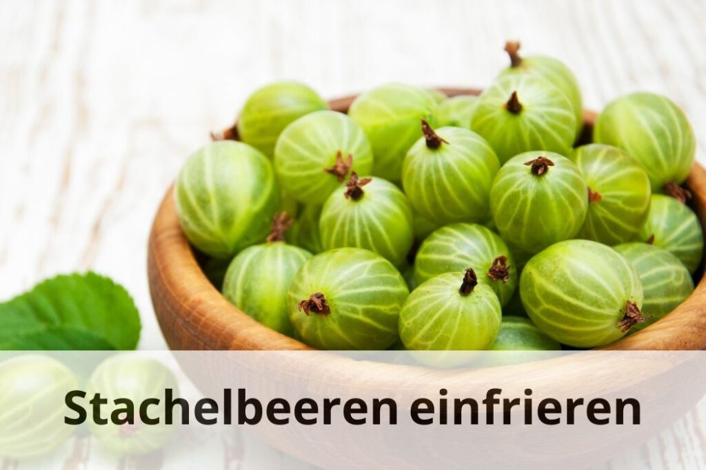 wie lange kann man Stachelbeeren einfrieren