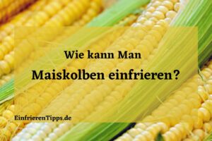 Kann man Maiskolben einfrieren