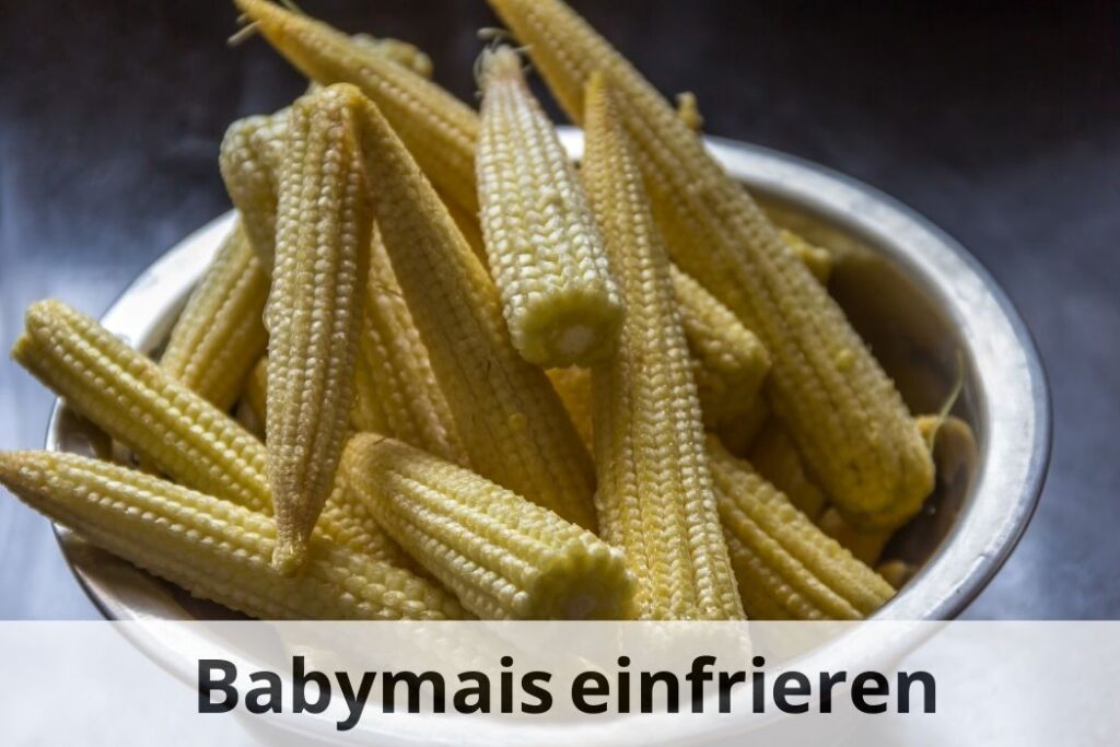 wie lange Kann man Babymais einfrieren