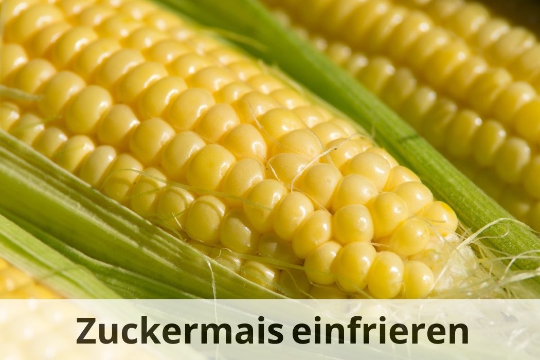 Zuckermais einfrieren 🌽: Tipps für Frische und Geschmack | Einfrieren Tipps