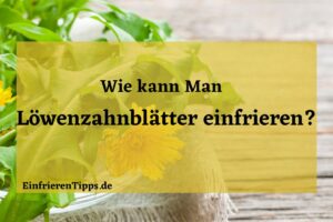 kann man Löwenzahnblätter einfrieren