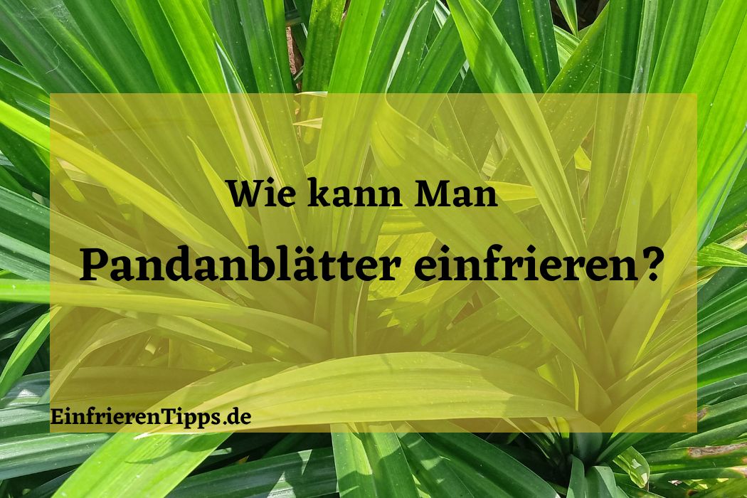 kann man Pandanblätter einfrieren