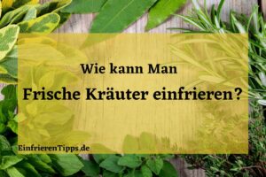 kann man frische Kräuter einfrieren