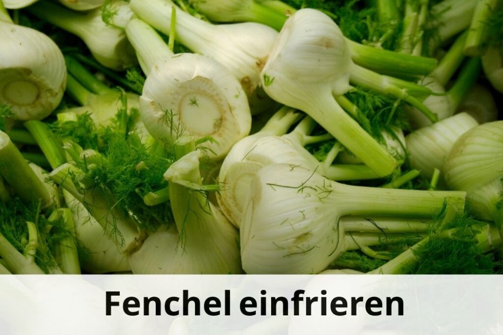 wie lange Kann man Fenchel einfrieren
