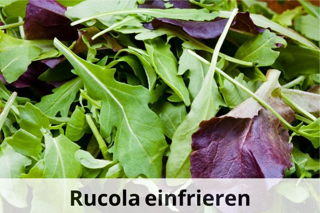 wie lange Kann man Rucola einfrieren