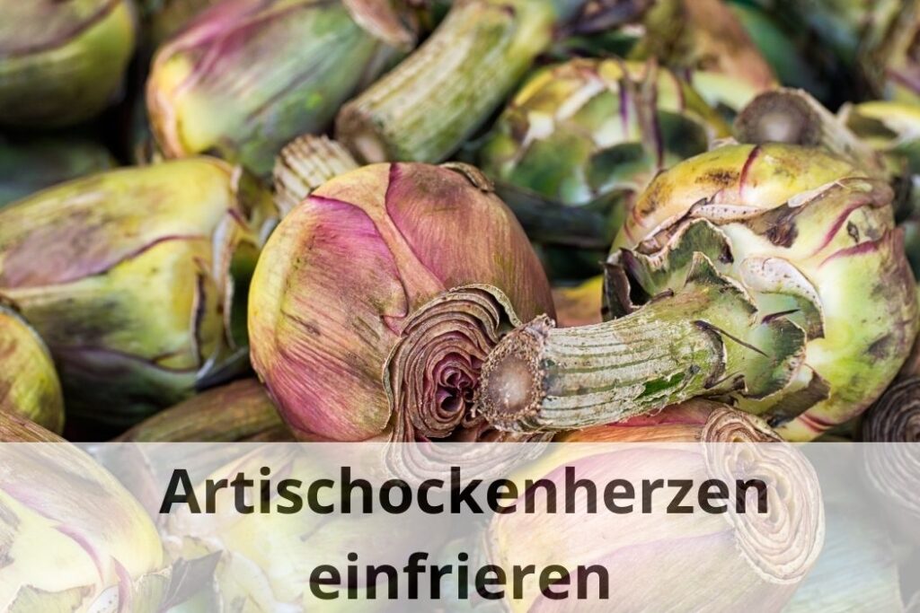 wie lange kann man Artischockenherzen einfrieren