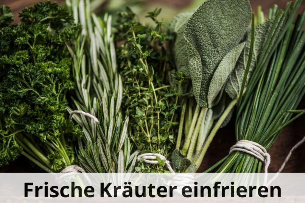 wie lange kann man frische Kräuter einfrieren