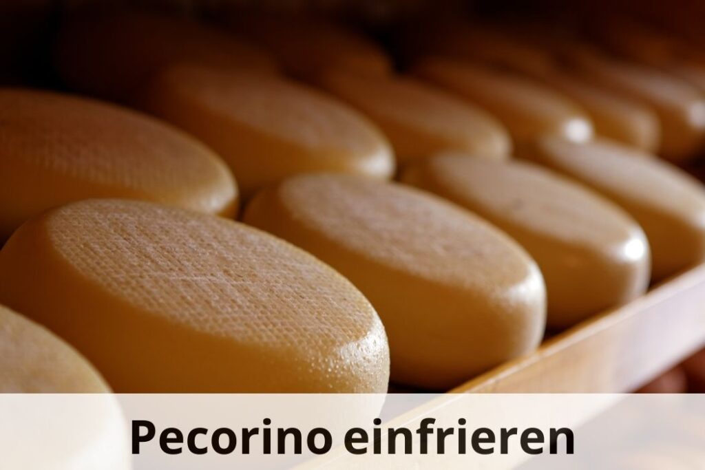 wie lange Kann man Pecorino-Käse einfrieren