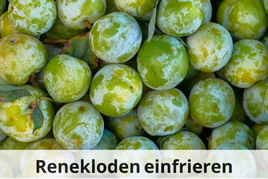 wie lange kann man Renekloden einfrieren